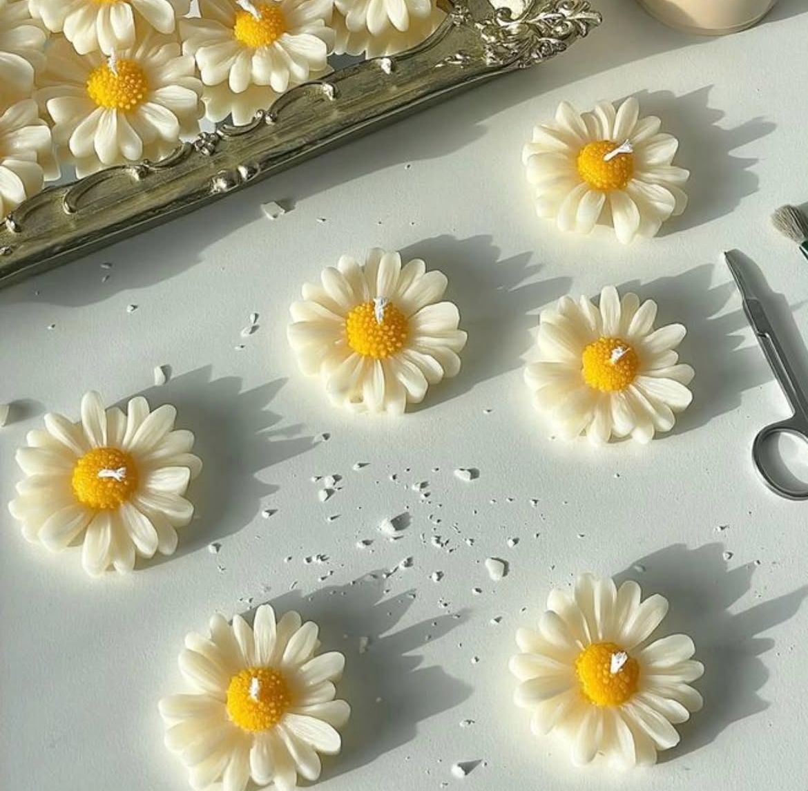 chamomile