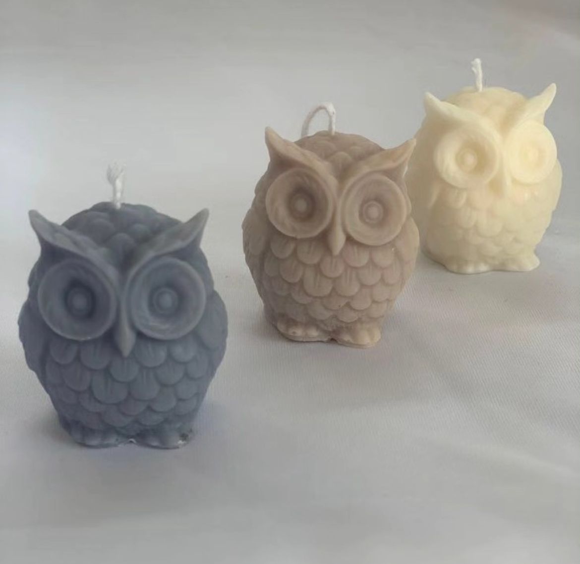 little owl